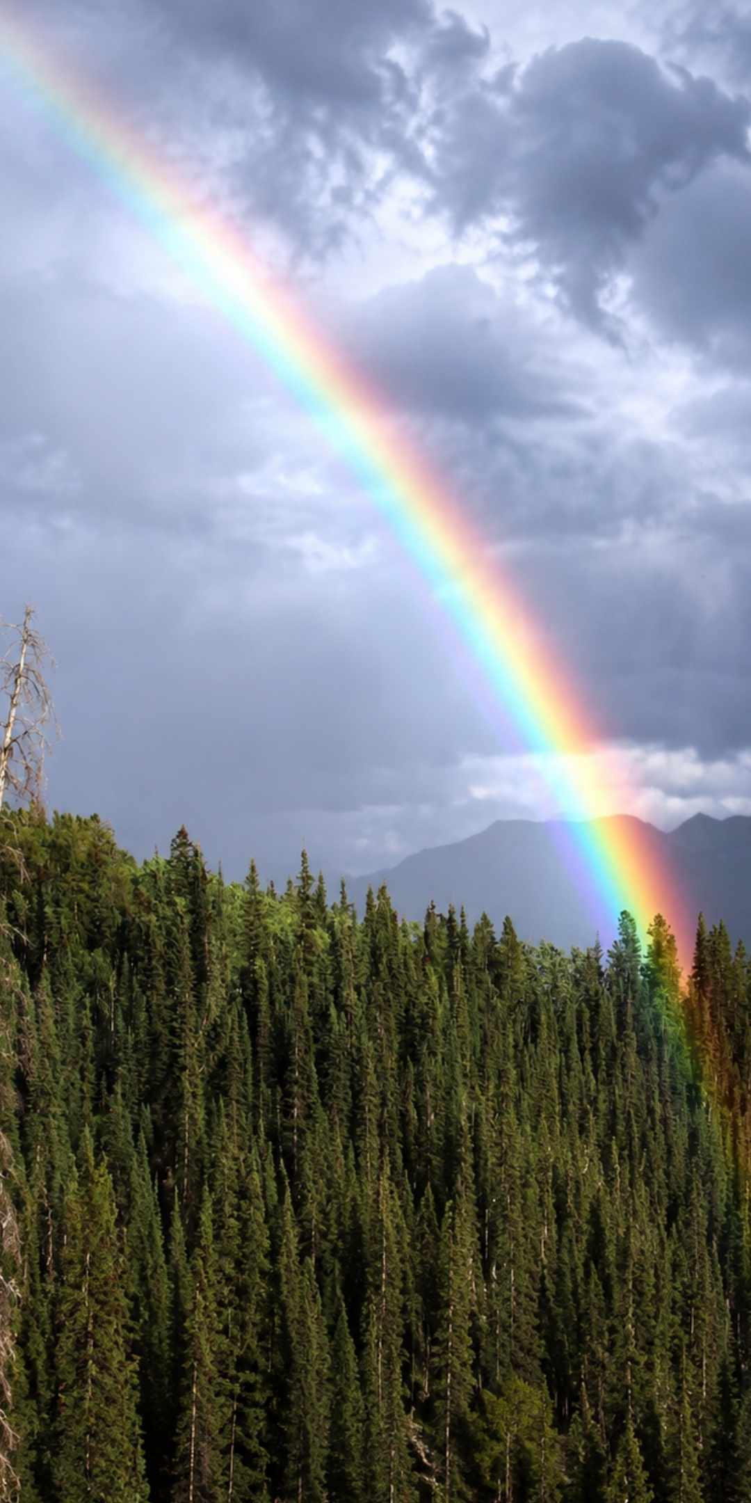 LGBTQ+ Counselling in Coquitlam, BC